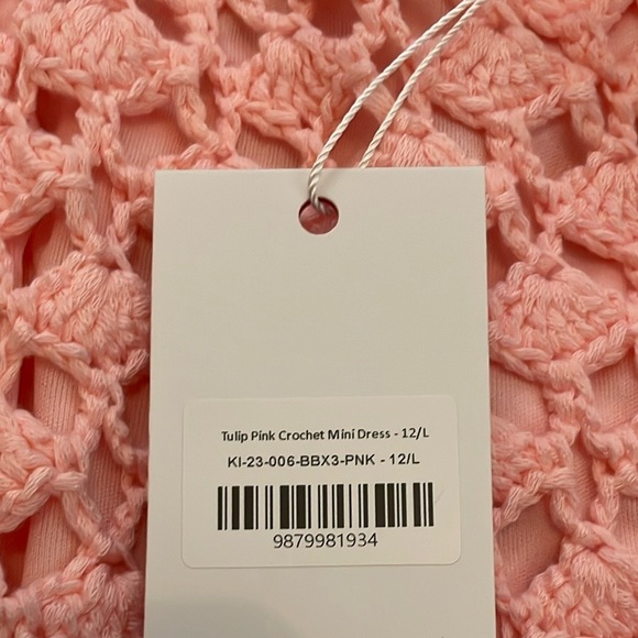 NWT BEGINNING BOUTIQUE Tulip Pink Crochet Mini Dress - Picture 3 of 5